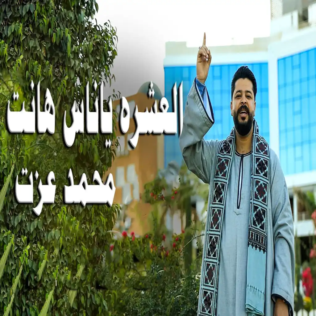 محمد عزت دكتور الفن