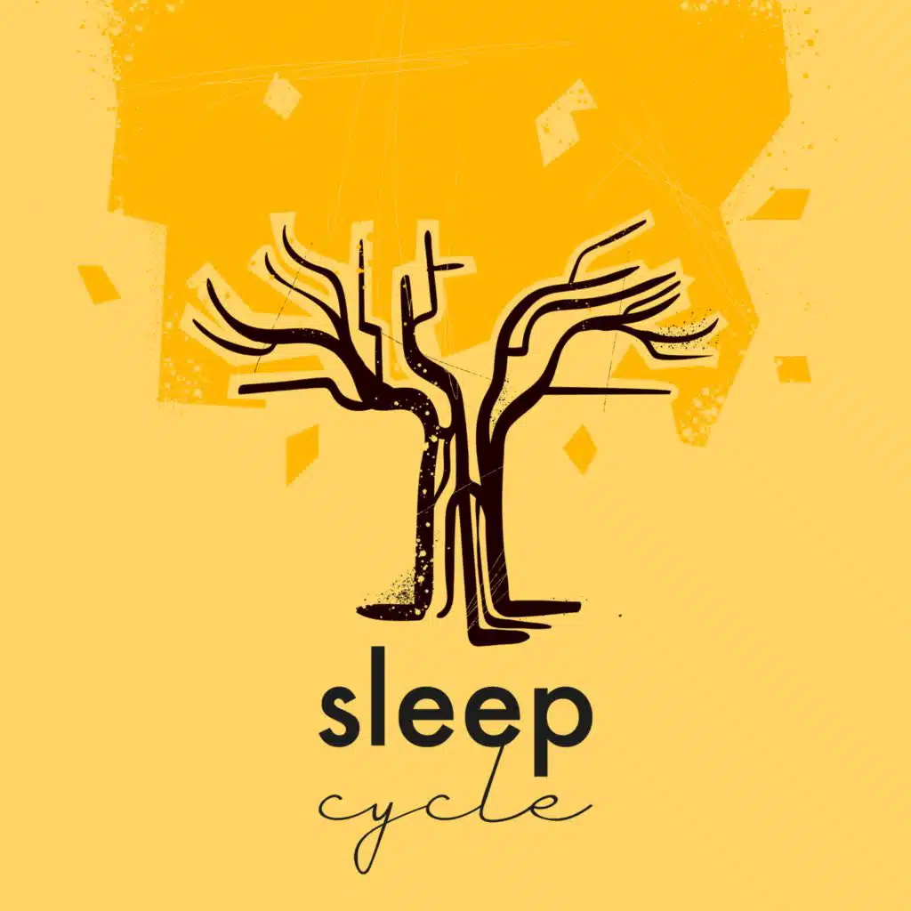 禅意花园：内心宁静之声