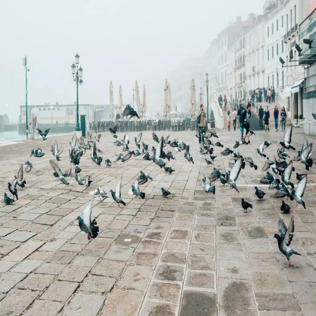 Guided Meditation To Stop Taking Things Personally