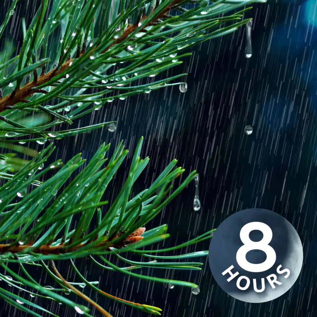 Heavy Rain Sound for Sleeping | 8 Hour Relaxing Rainfall White Noise for Deep Sleep