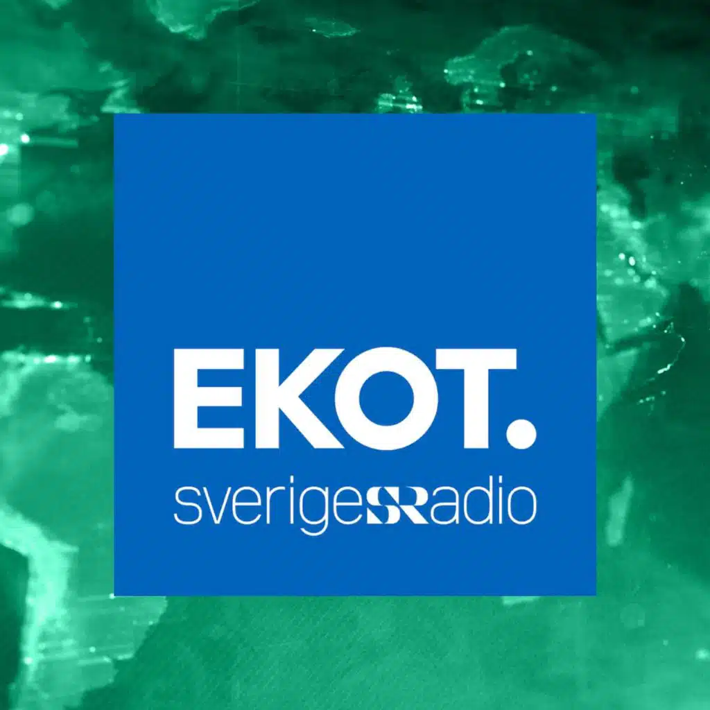 Ekonomiekot 2025-03-03 kl. 06.32