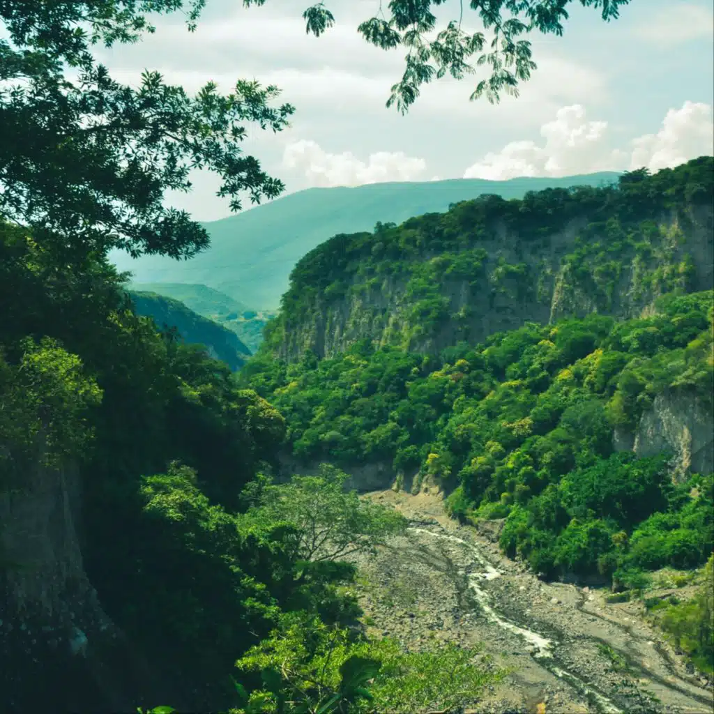 Las Hojas Volvieron Para Nosotros Dos