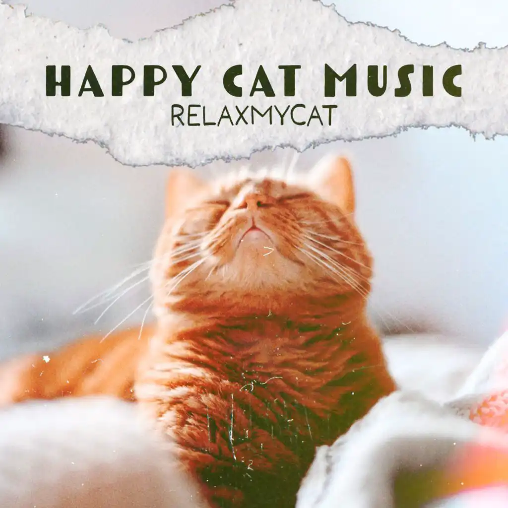 RelaxMyCat