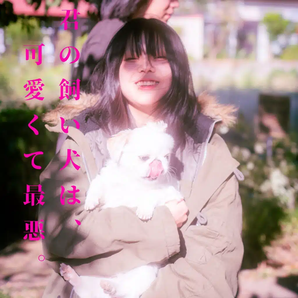 Kimi No Kaiinuwa kawaii Saiaku