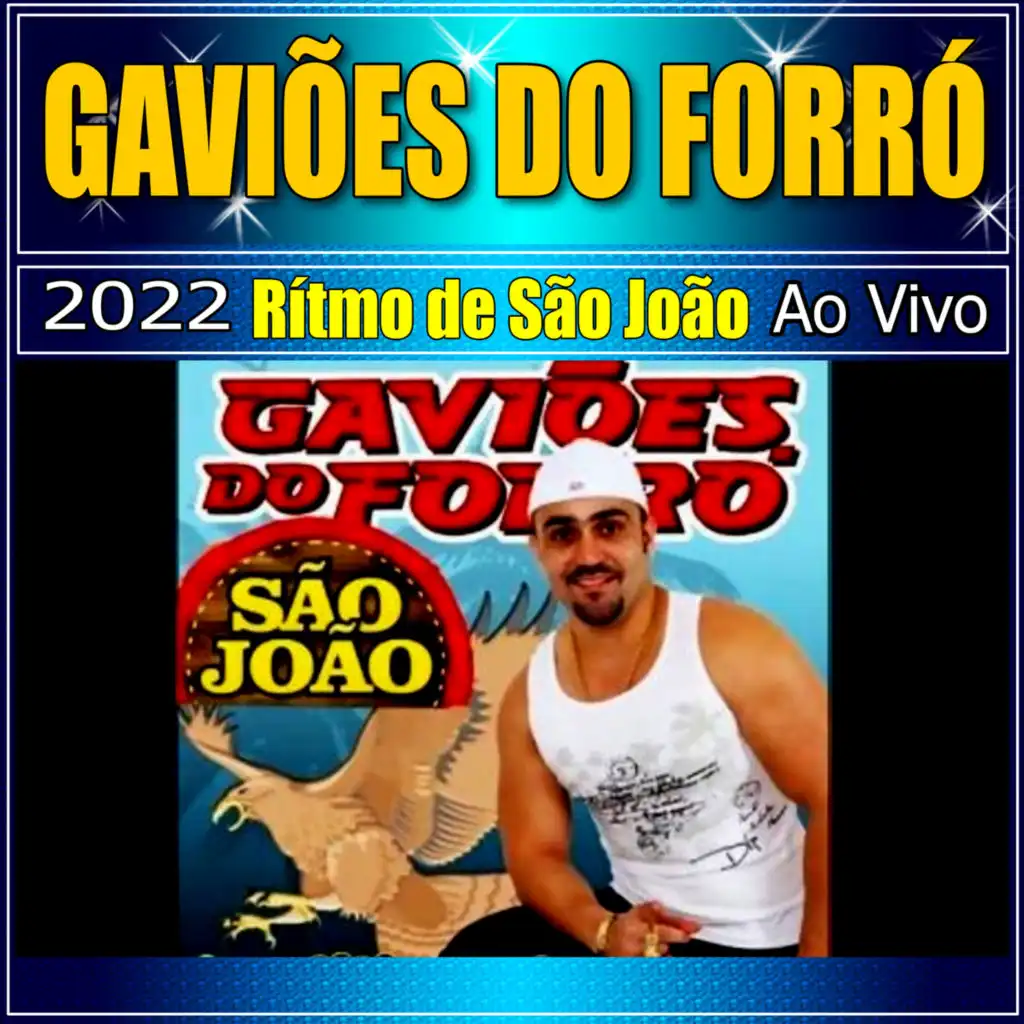 Gaviões do Forró