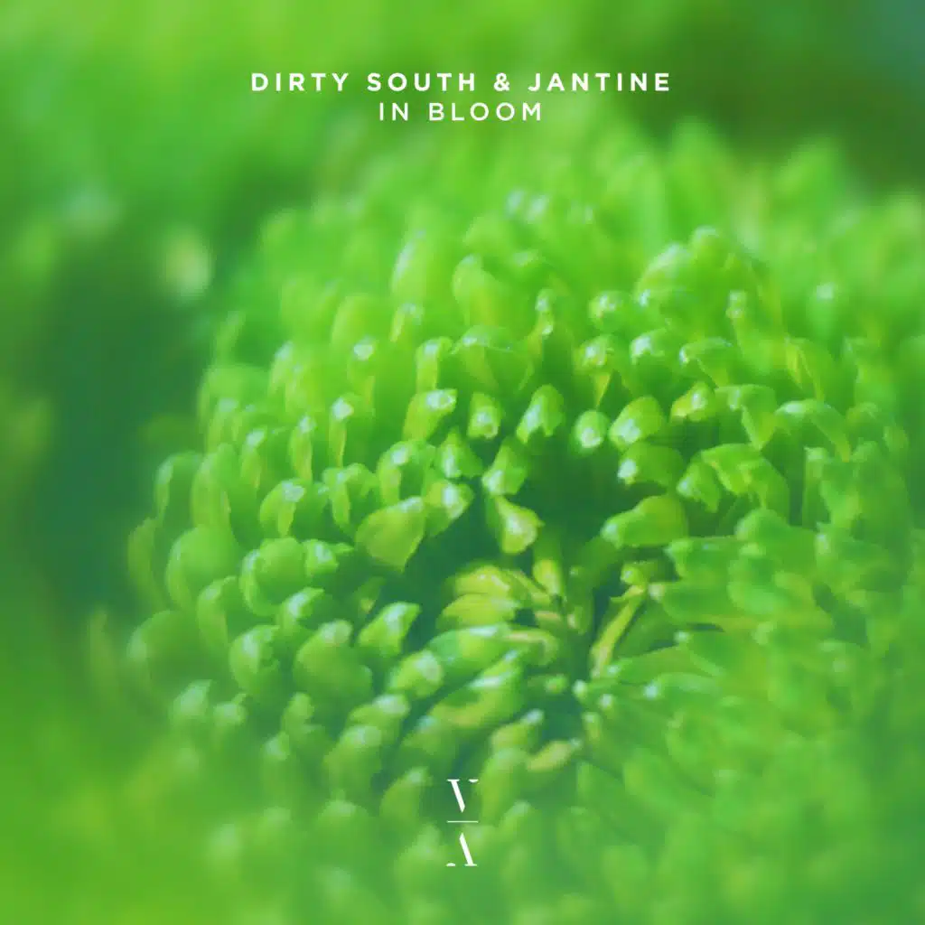 Dirty South & Jantine