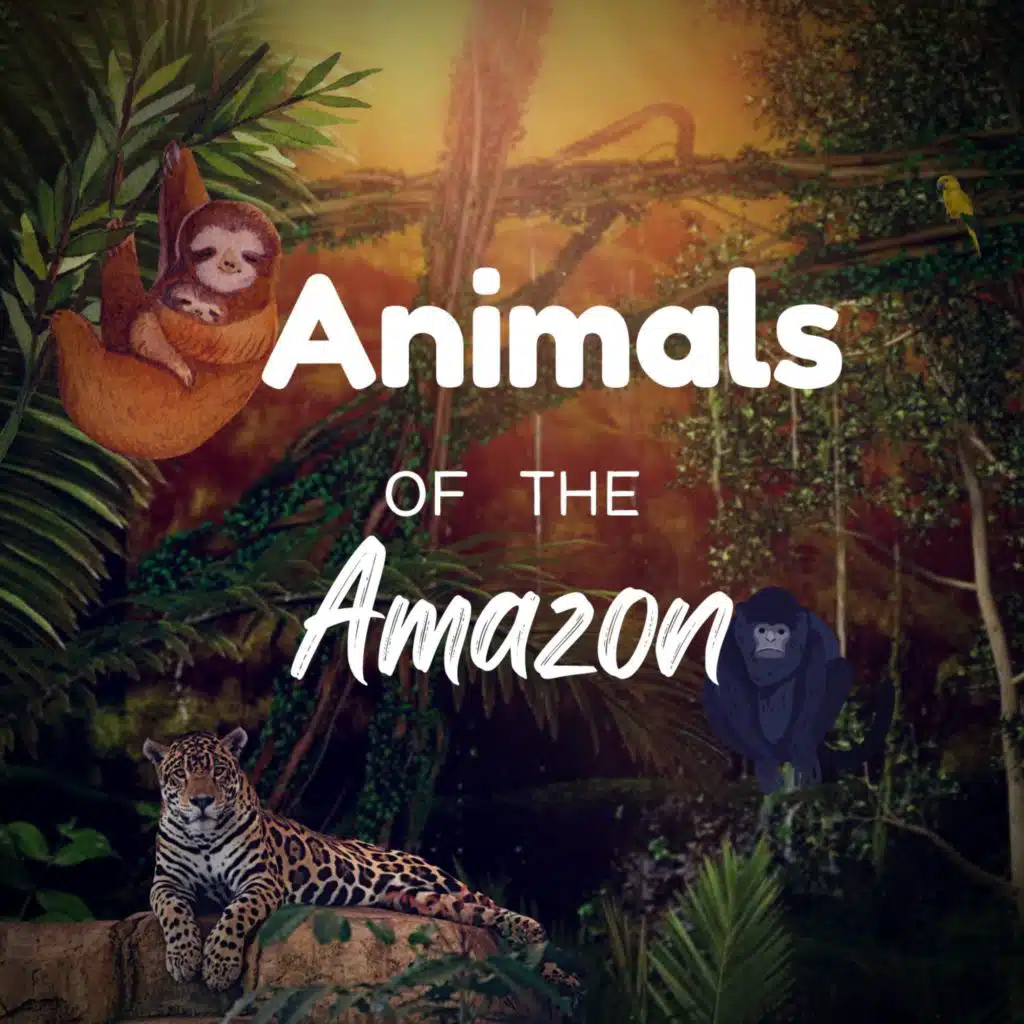 Animals of the Amazon