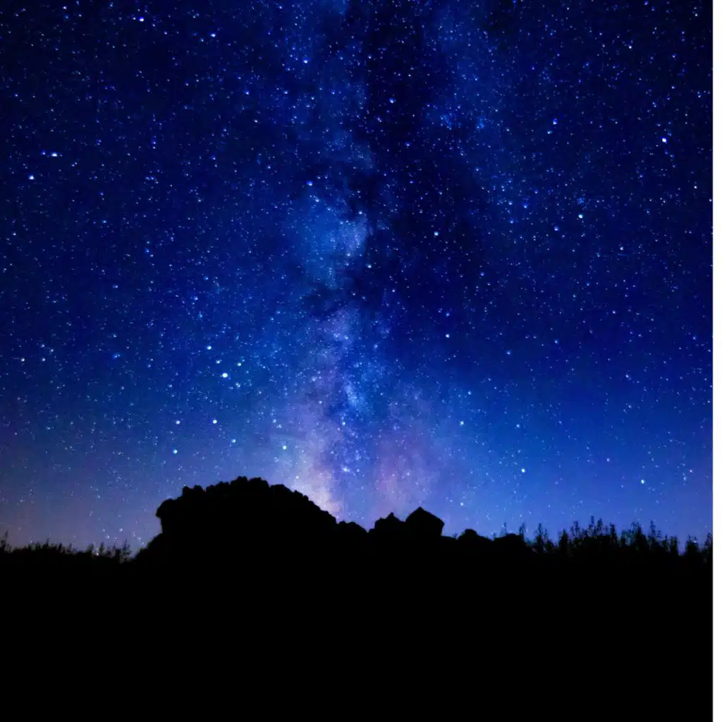 Calm Symphony for Evening Stillness