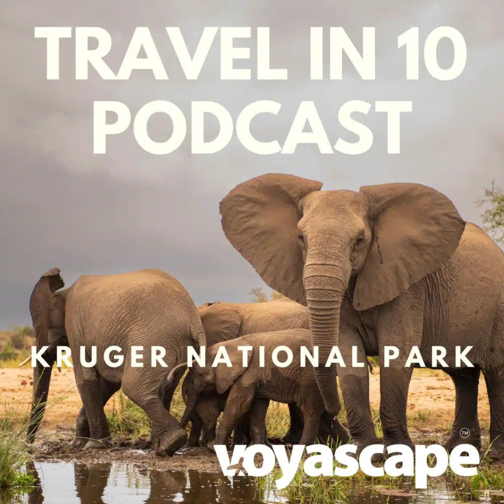 Kruger National Park Safari: Big 5, Unique Lodges & Self-Drive Tips