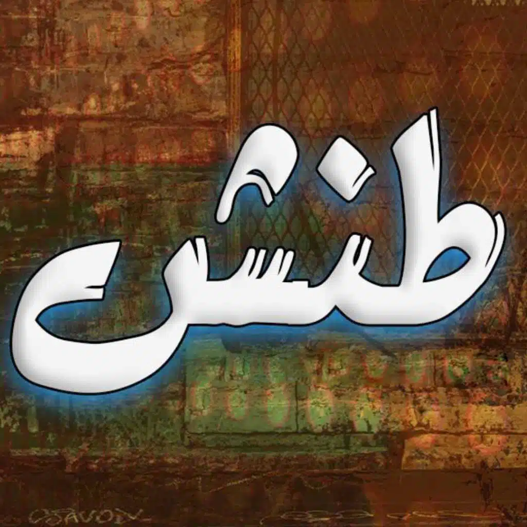 مهرجان طنش - باسم فيجو - 2018