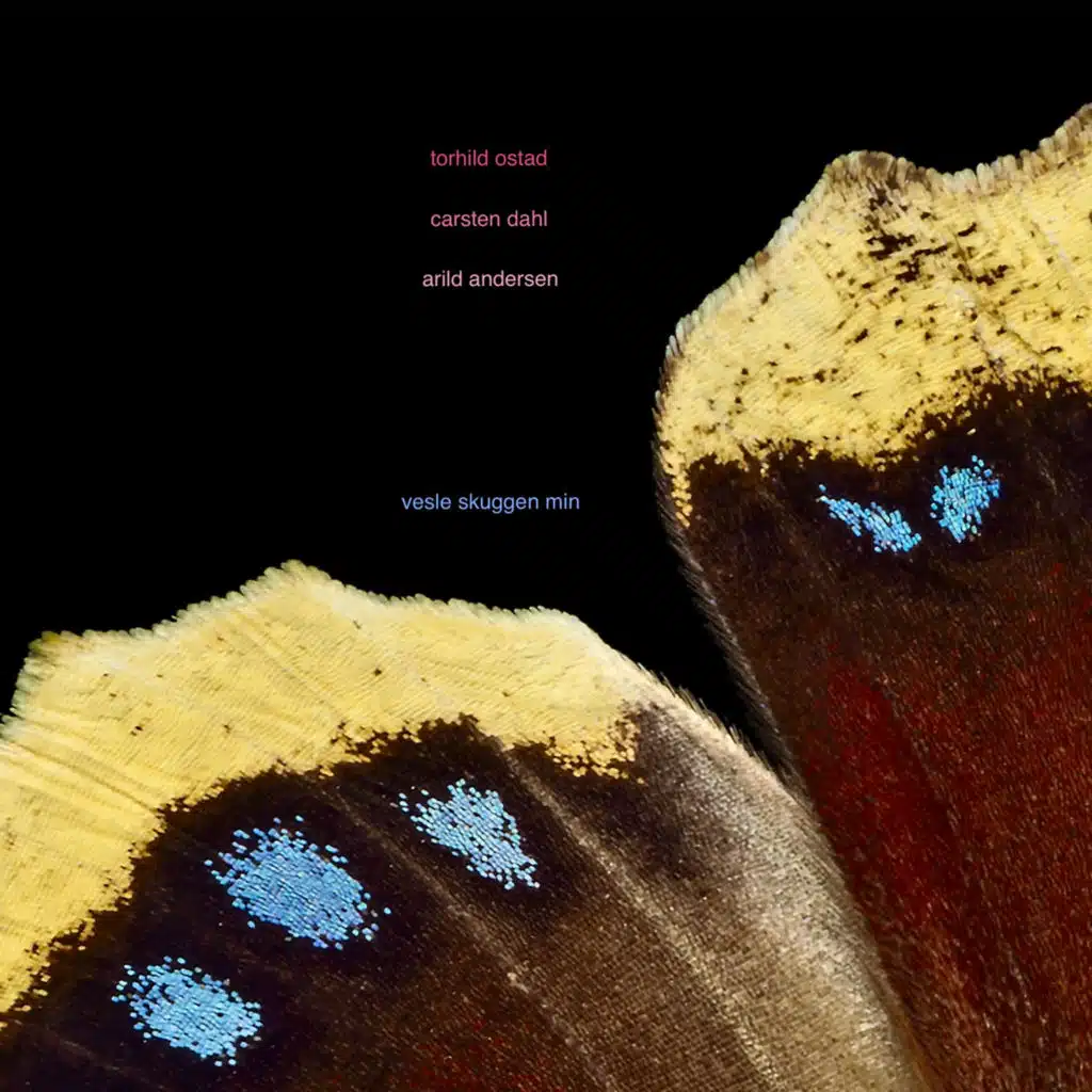 Vesle skuggen min (feat. Carsten Dahl & Arild Andersen)