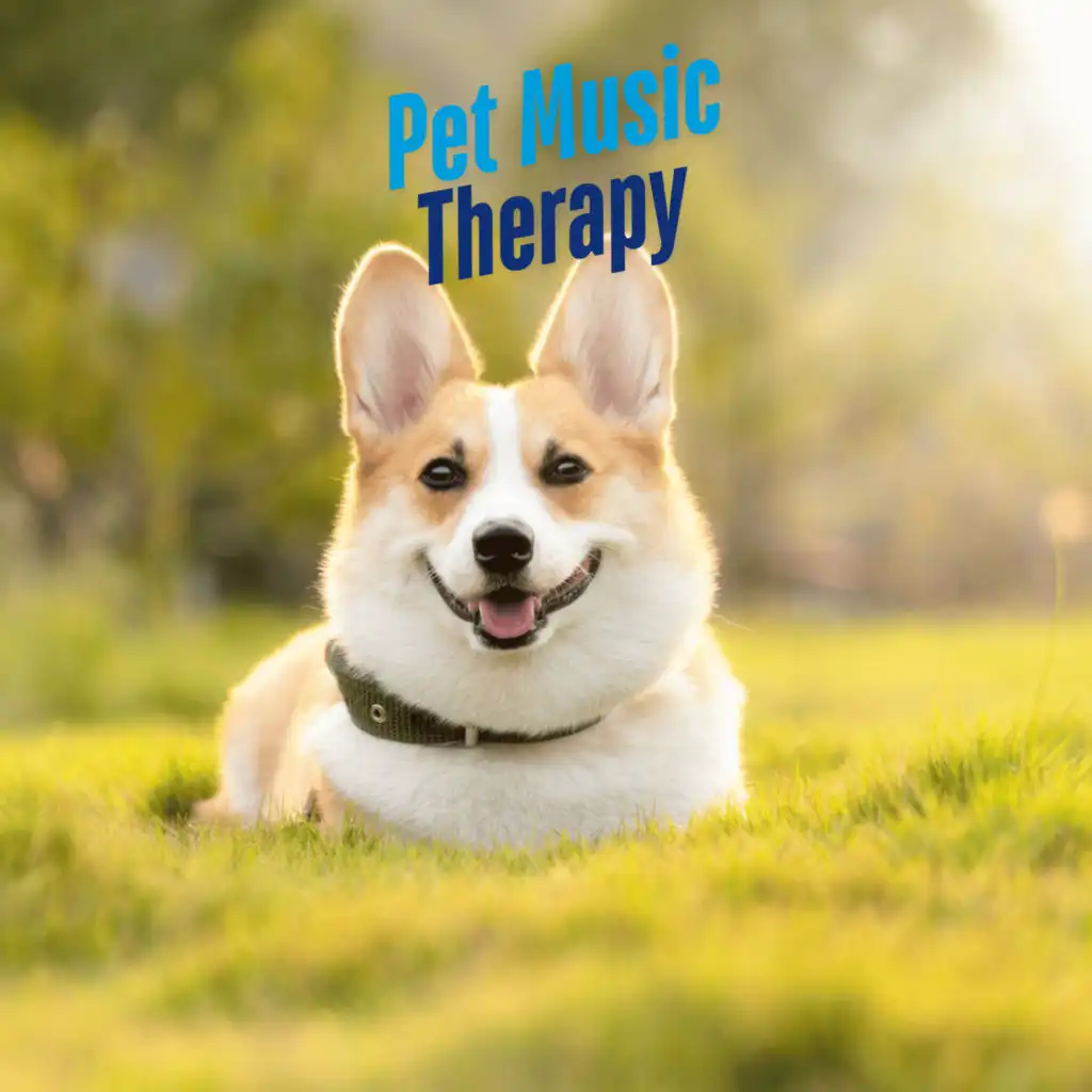 Piano Peace, Pet Music Therapy & PETS LOVE MUSIC