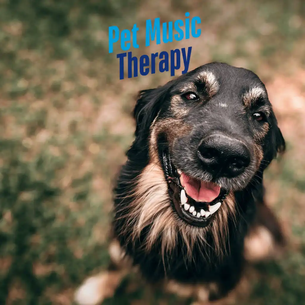 Piano Peace, Pet Music Therapy & PETS LOVE MUSIC