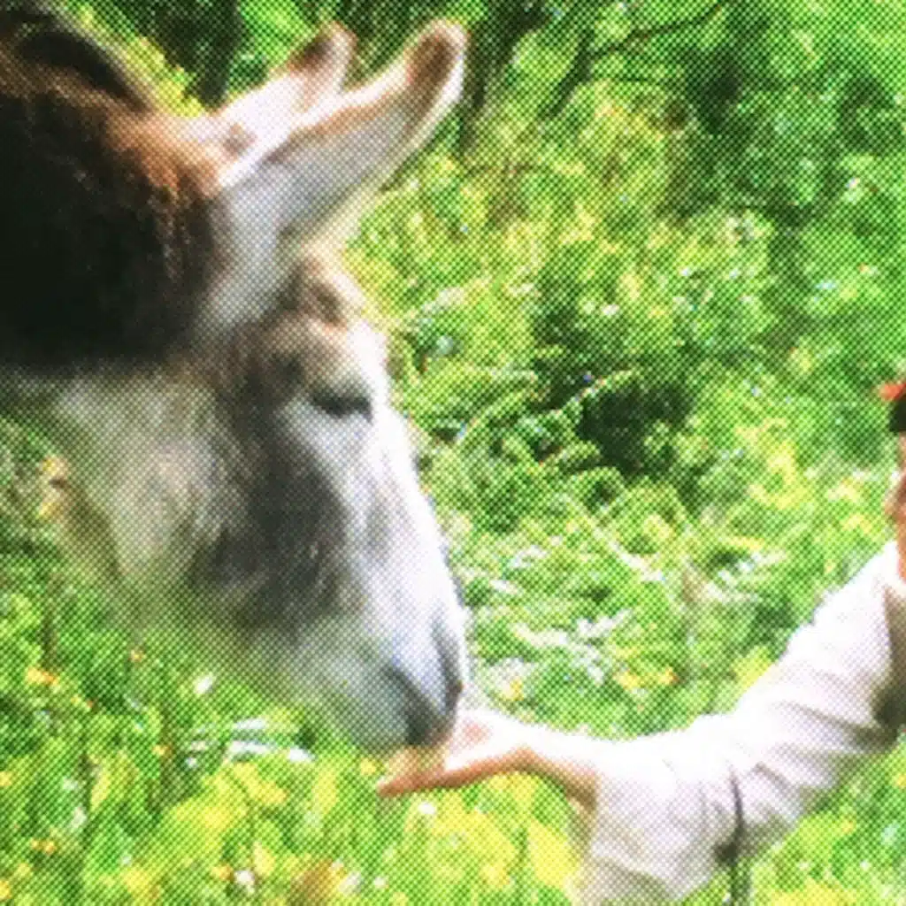 Grass Grows, Pt. 1 (Unicorn Ship Explosion Remix)