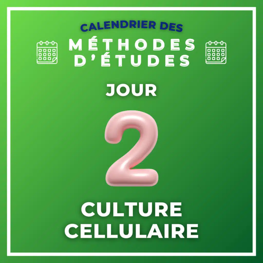 J2 : Culture Cellulaire