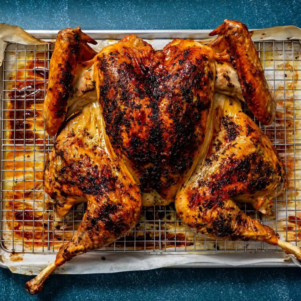 One Woman's Quest For The (Scientifically) Best Turkey