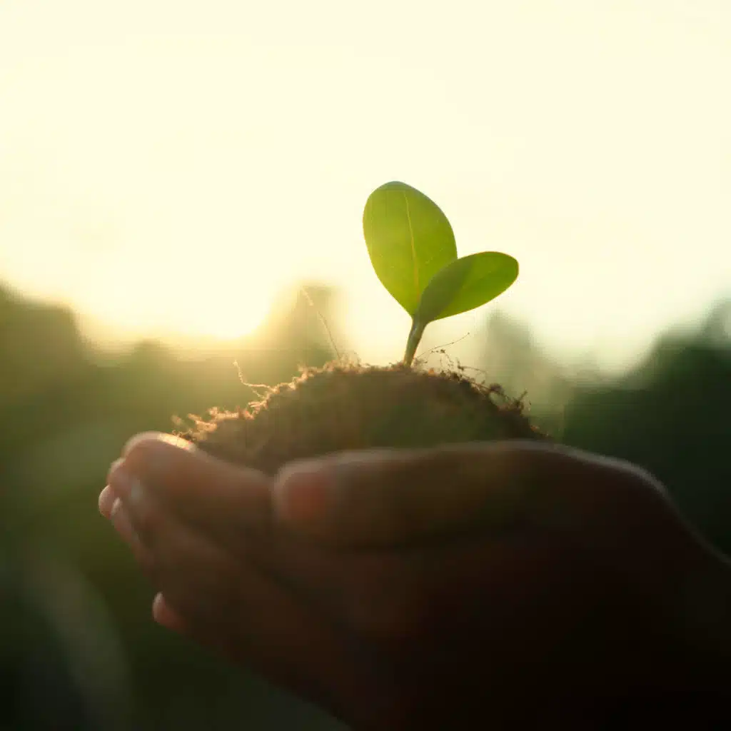 Don't Call It Dirt: The Surprising Science Of Soil