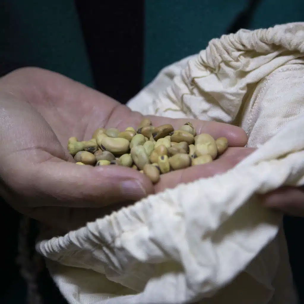 Ancient Seeds: A Possible Key To Climate Adaptation