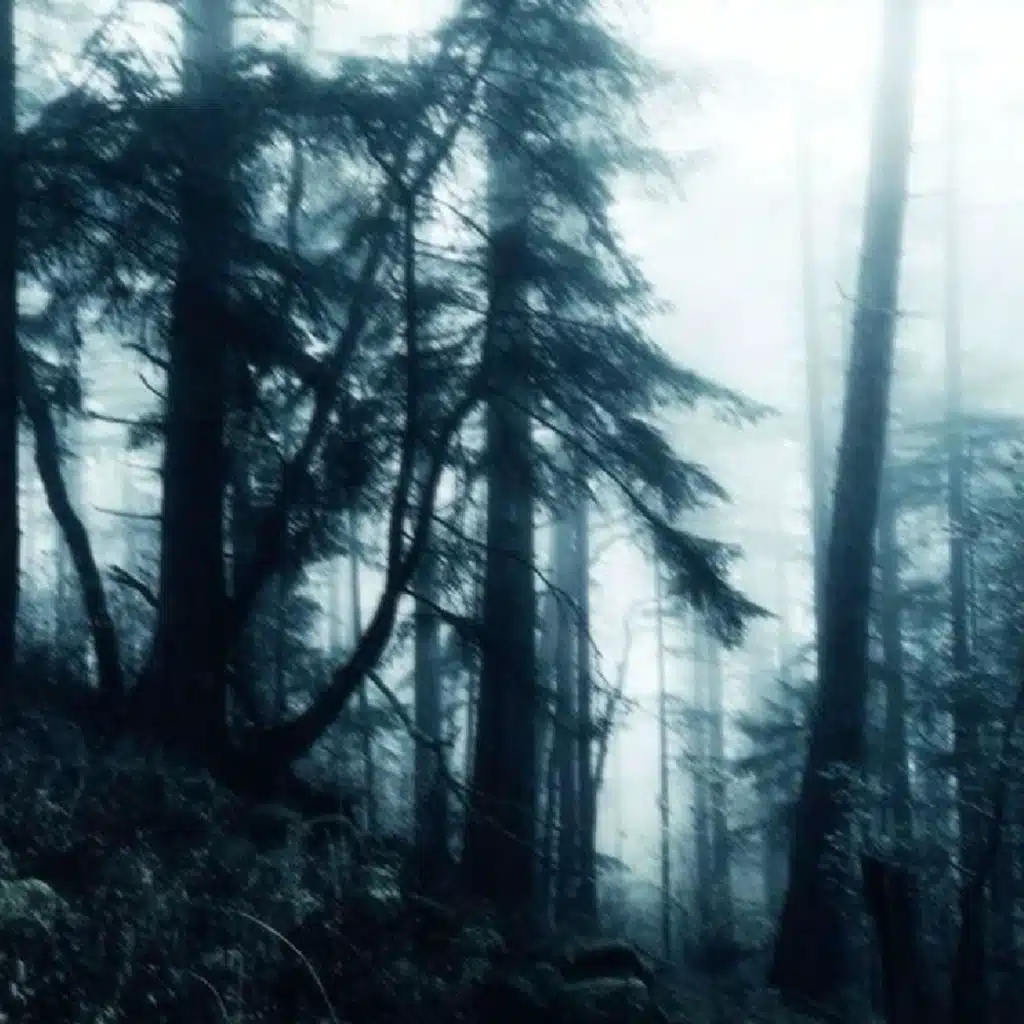 darksouls