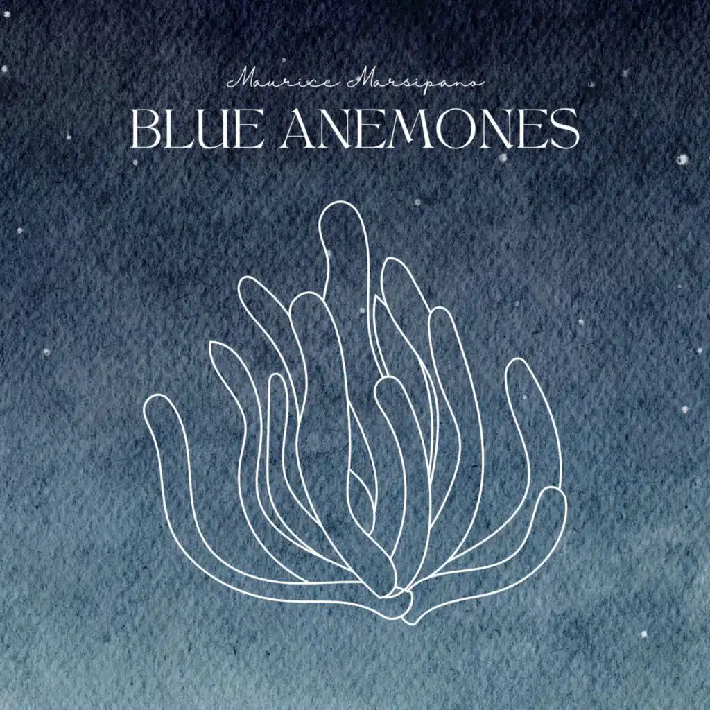 Blue Anemones