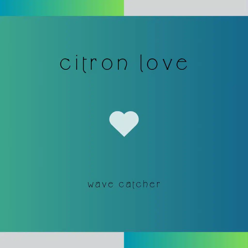 wave catcher