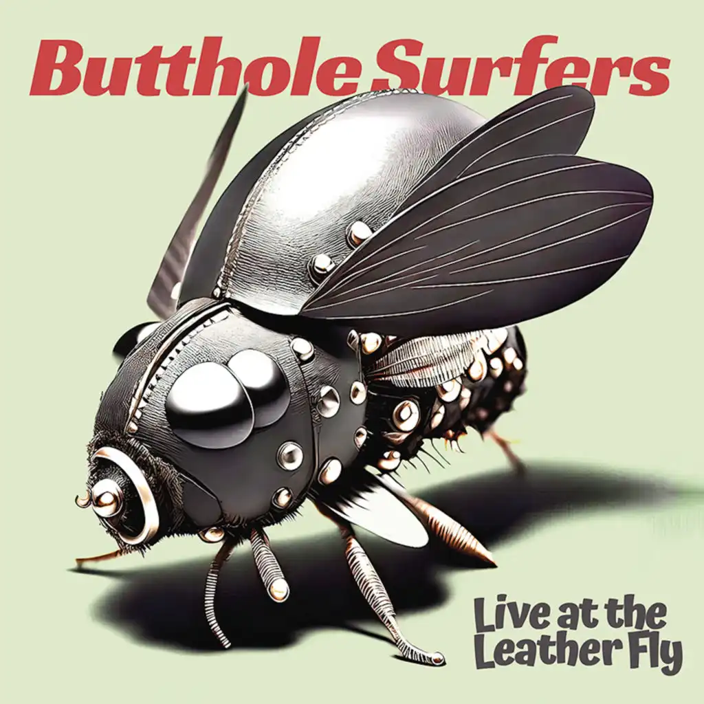 Butthole Surfers