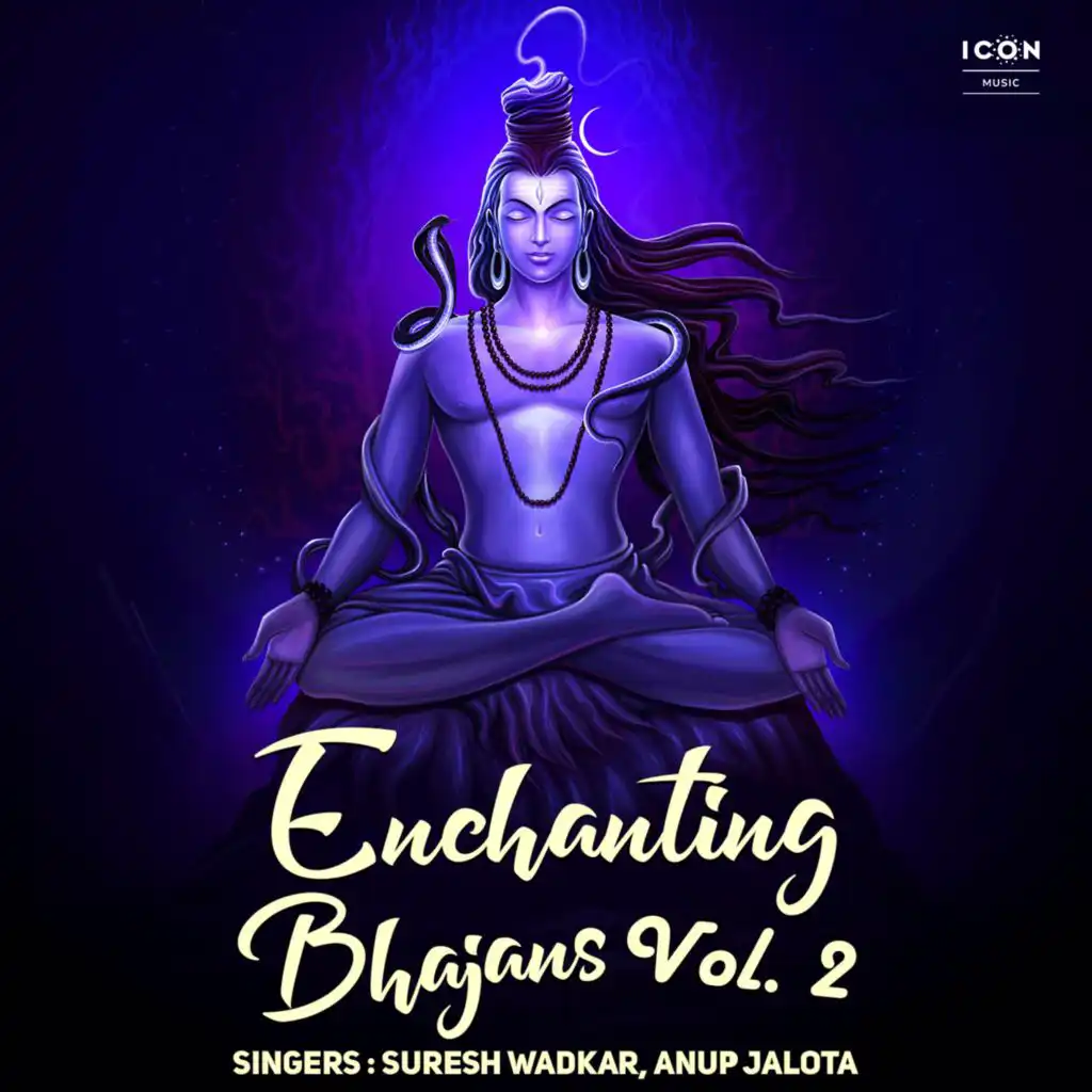 Enchanting Bhajans Vol. 2