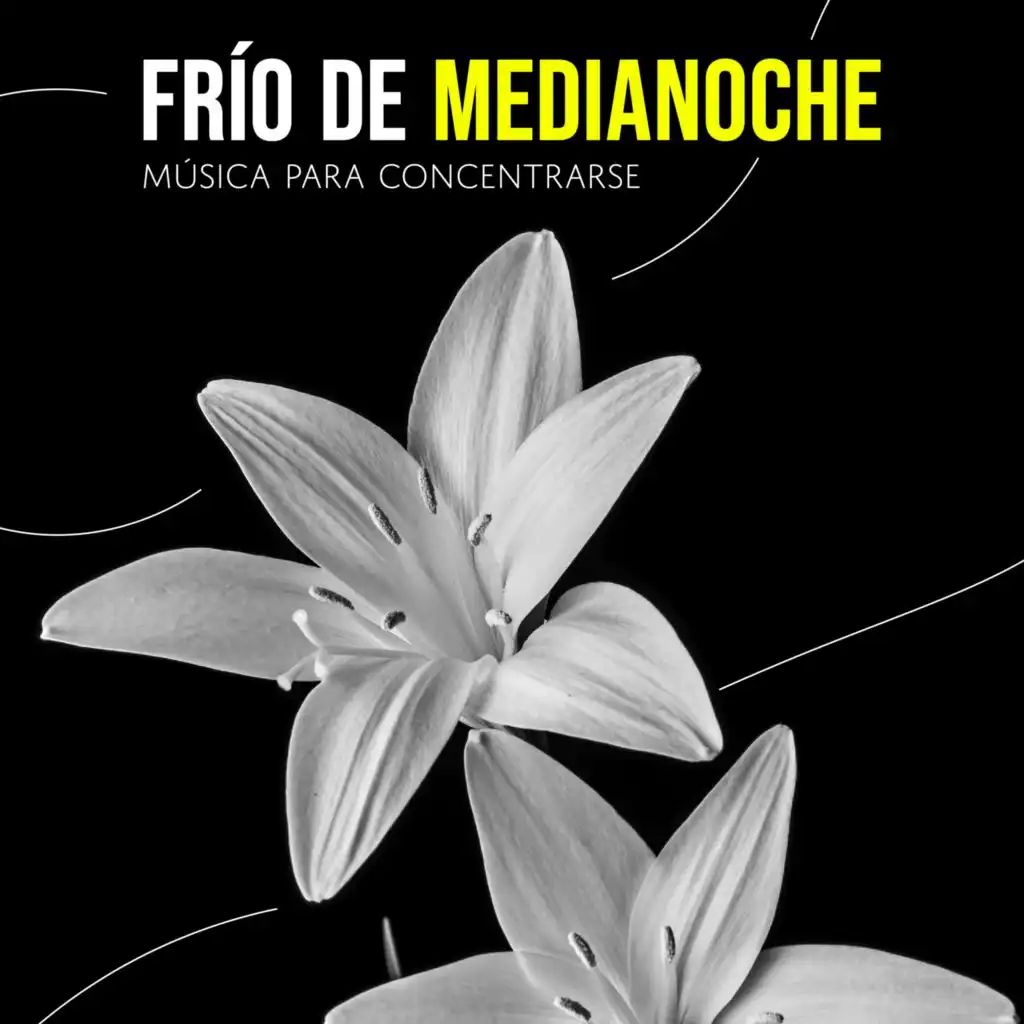 Musica Para Concentrarse