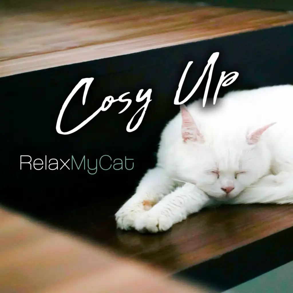 RelaxMyCat