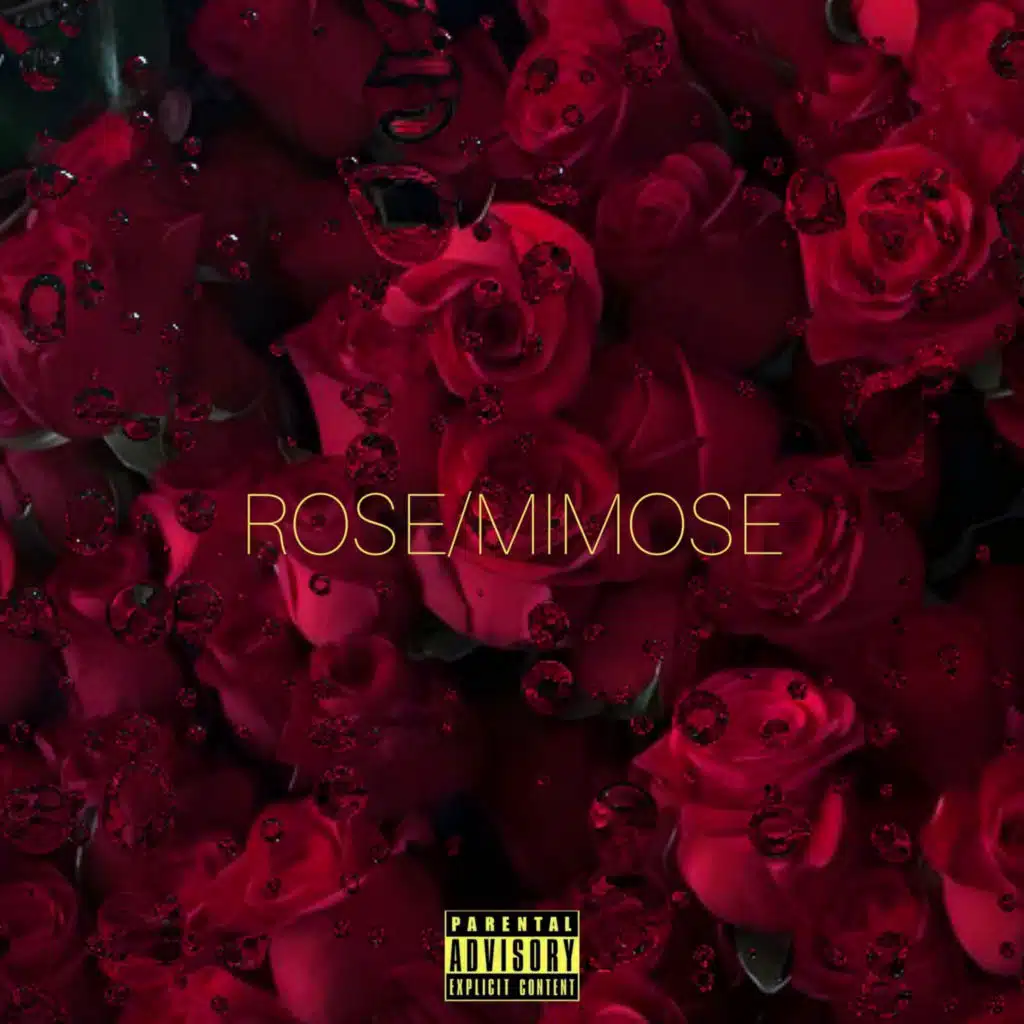 Rose / Mimose (feat. DnD Records)
