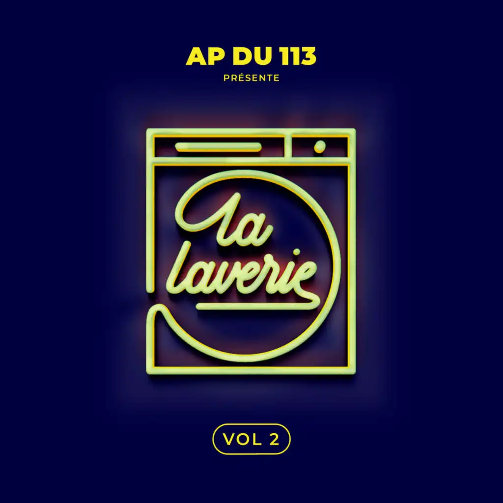 AP du 113