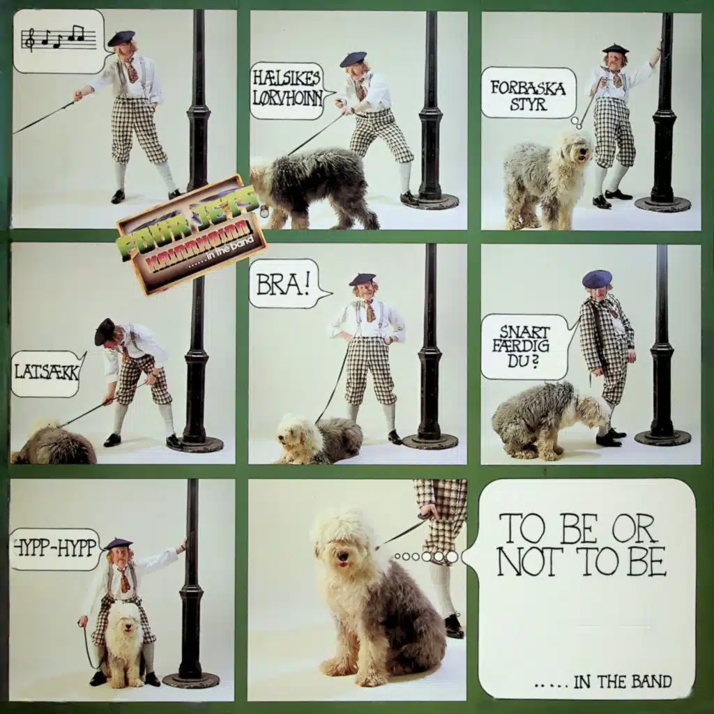 Hainnhoinn......In the Band