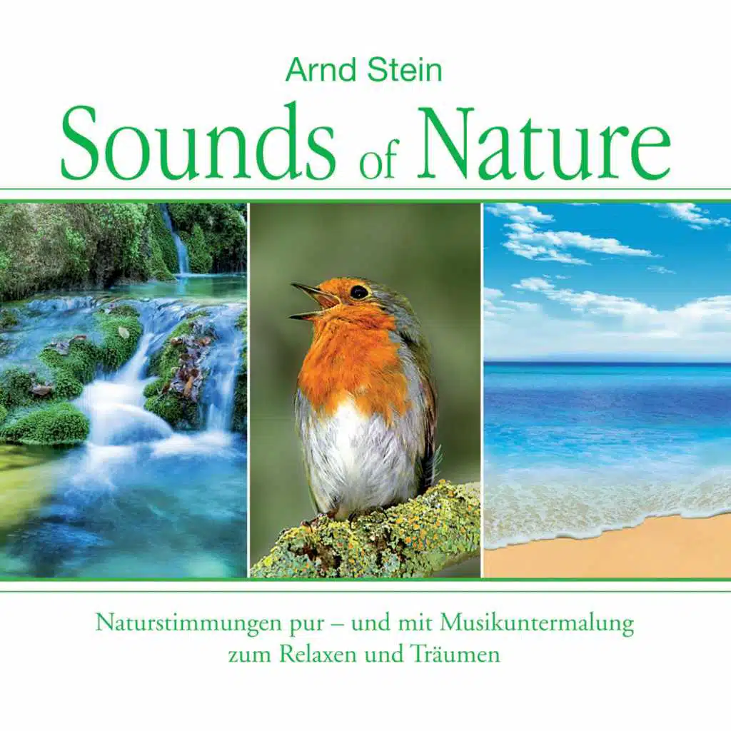 Sounds of Nature