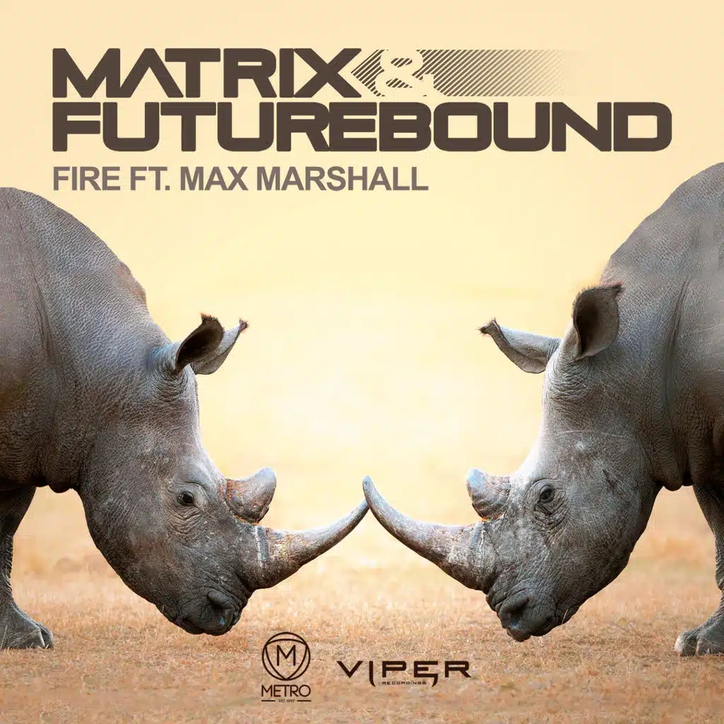 Fire (ft. Max Marshall)