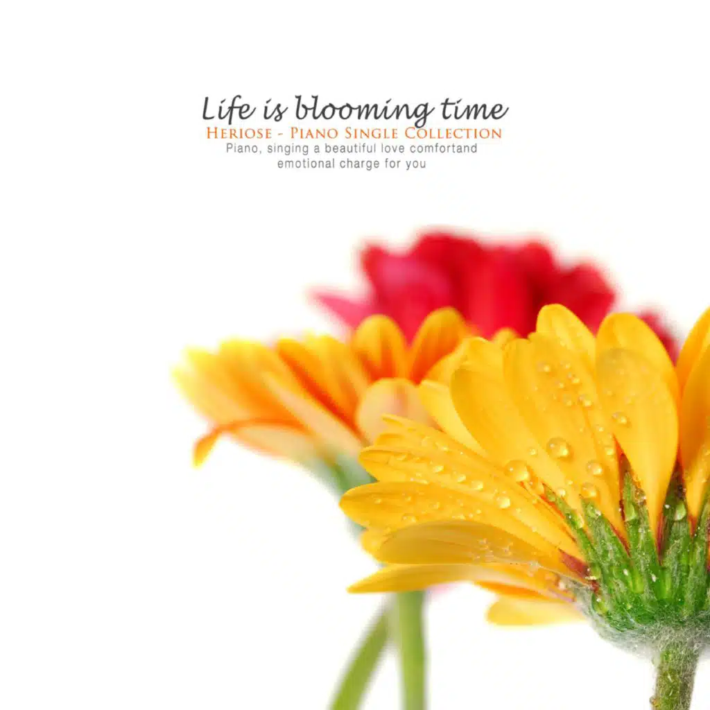 Time When Life Blooms