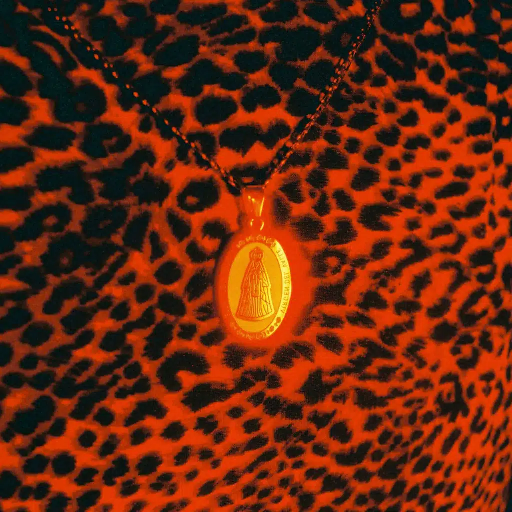 Virgen De Las Desamparadas