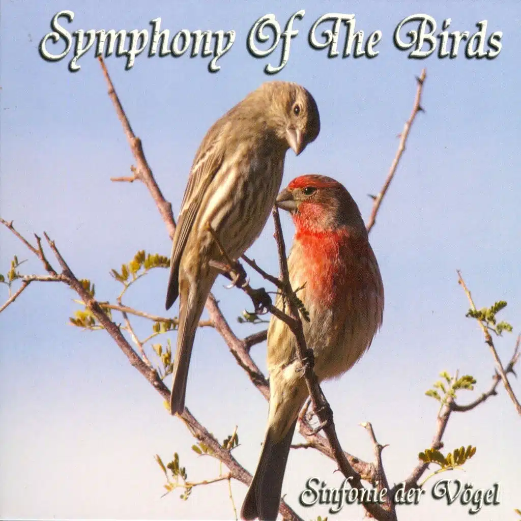 Symphony Of The Birds (Sinfonie Der Voegel)