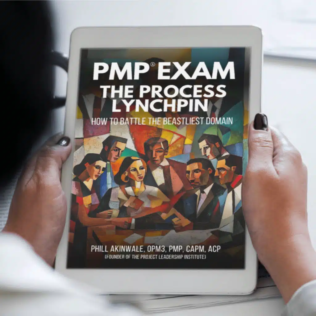 Mastering the PMP Process Domain Lynchpin