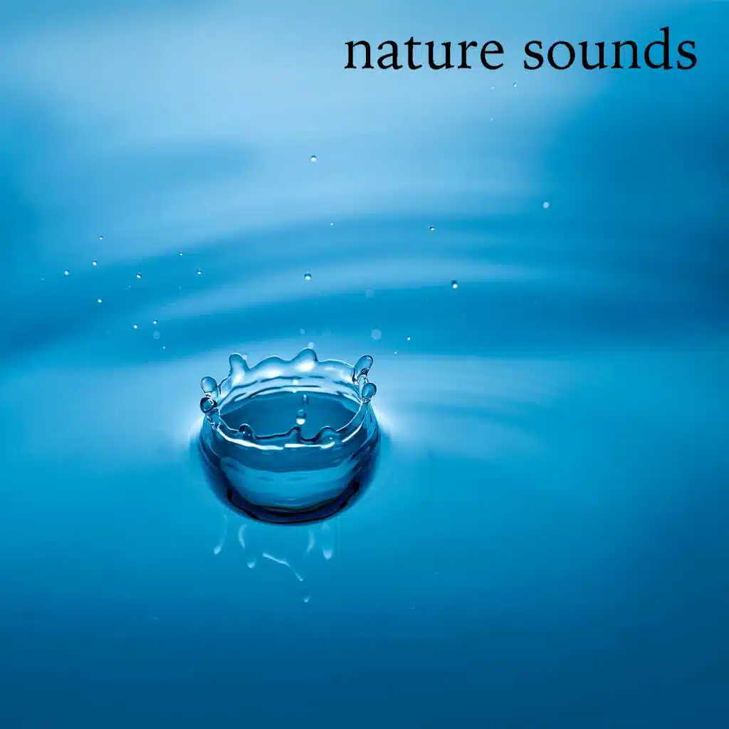 Nature Sounds