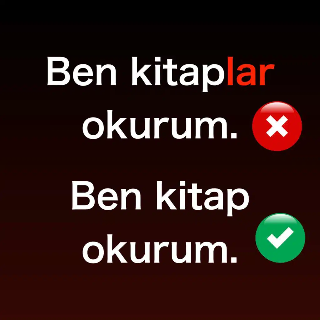 Plural Indefinite Direct Object in Turkish