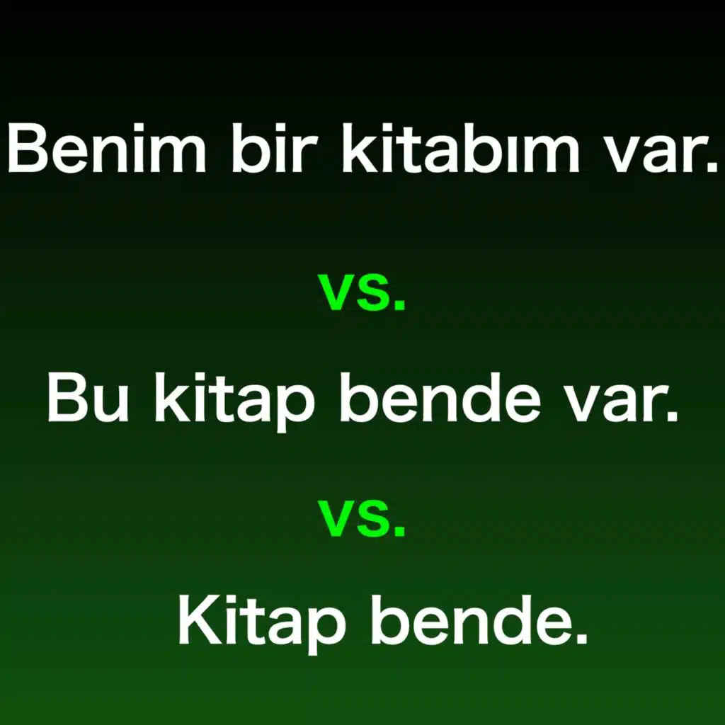 Ownership and Possession in Turkish
