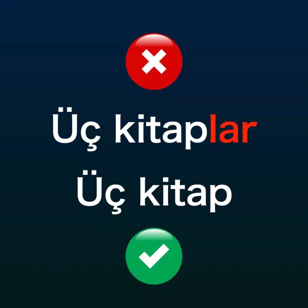 Numerals and Quantifiers with No Plural Suffix
