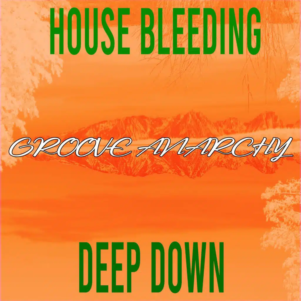 Nu Ground Foundation & House Bleeding