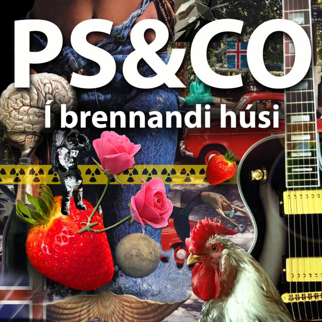 PS & Co