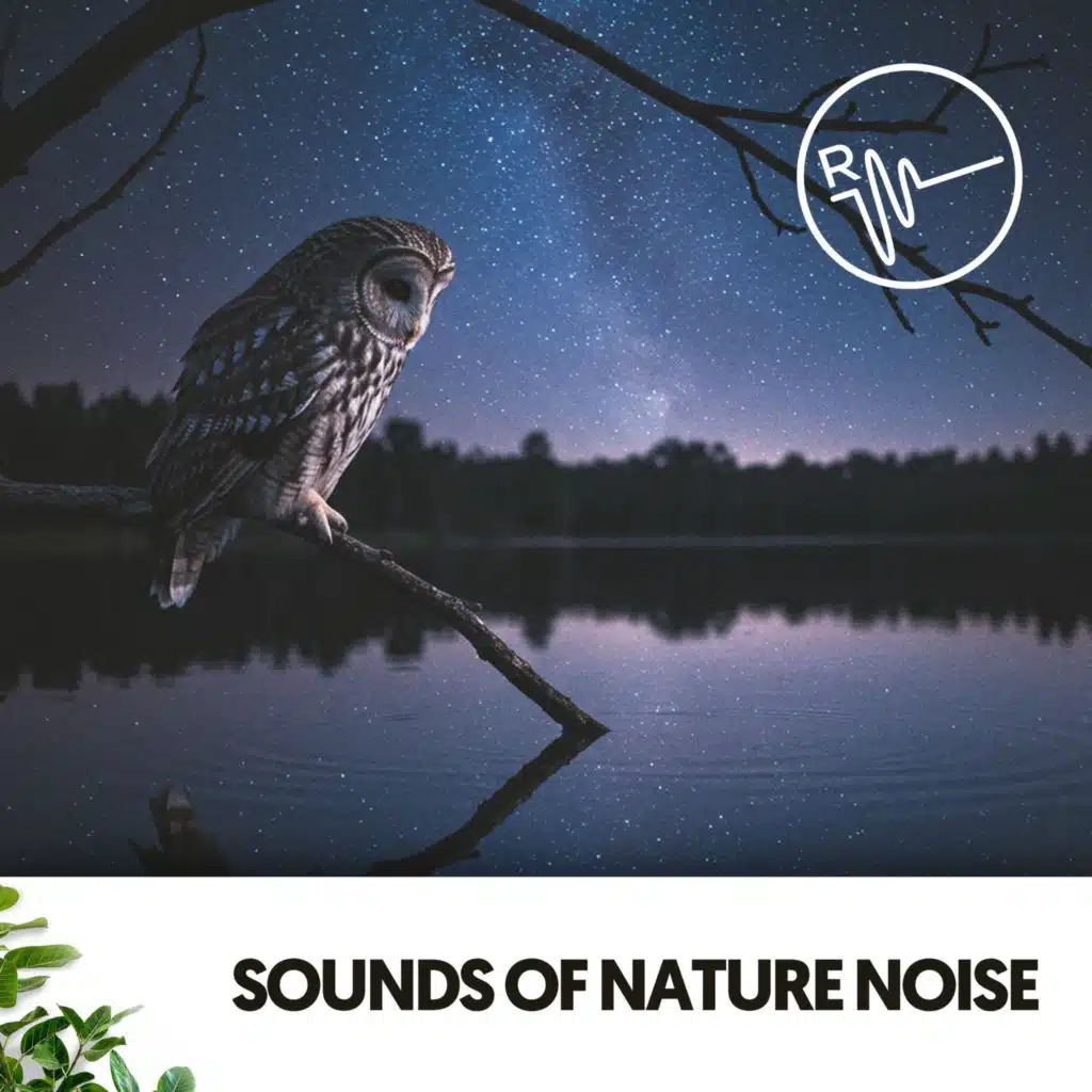 Sounds of Nature Noise: Melodies for Peaceful Nights