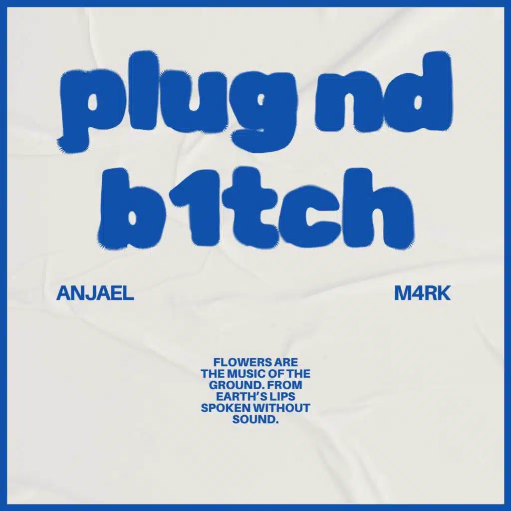 PLUG ND B1TCH (feat. M4RK)