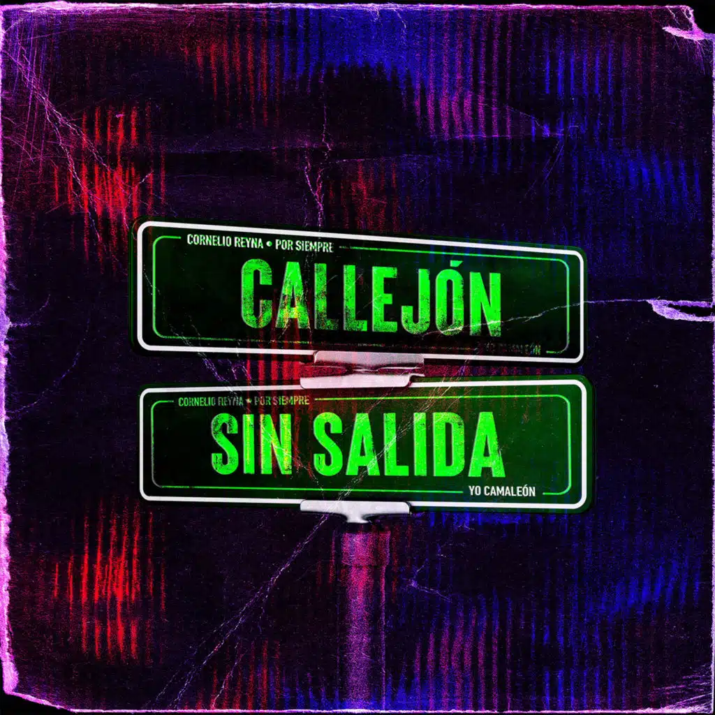 Yo Camaleón