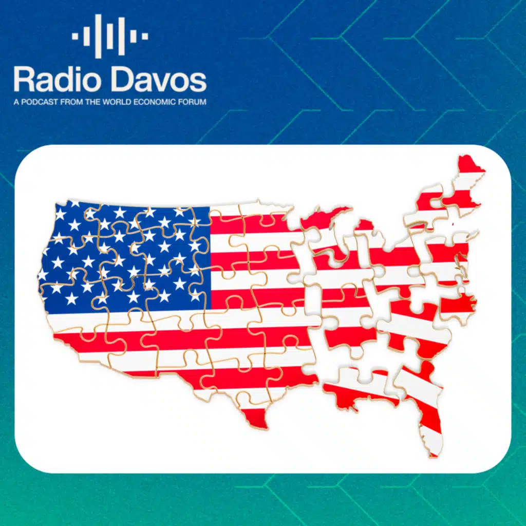 Three experts on how to understand the USA