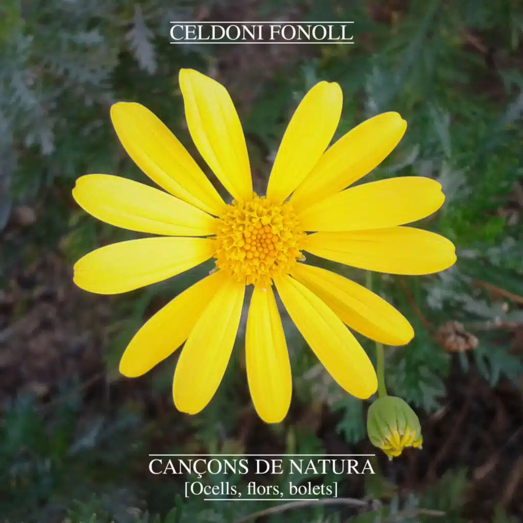 Celdoni Fonoll