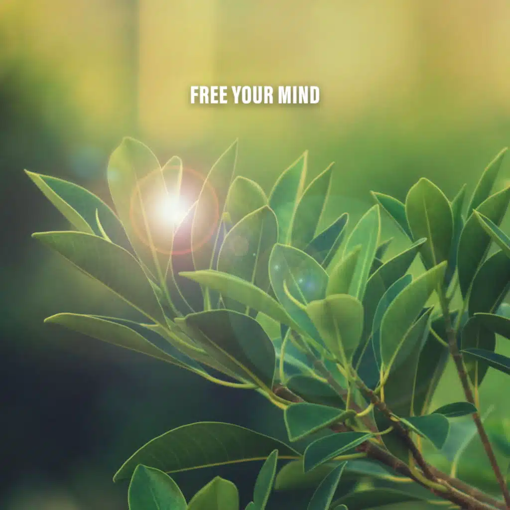 Free Your Mind